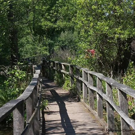 Comme A La Maison - Basilique Saint-Quentin (Aisne)