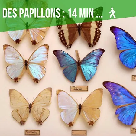 Comme A La Maison - Basilique Apartmán