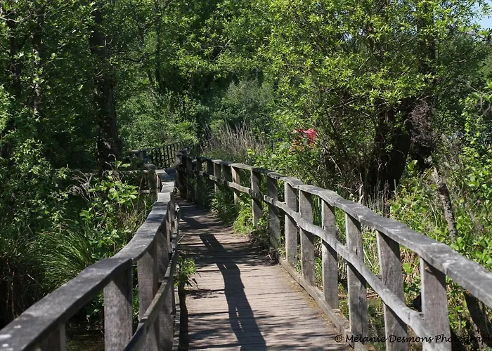 Comme A La Maison - Basilique Saint-Quentin (Aisne)